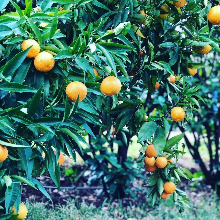 Les Jardins De Taja Hotel Урика Екстериор снимка
